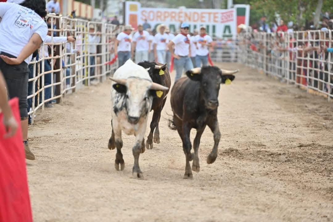 Foto de Running las Vacas